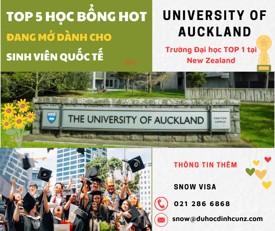 Top 5 học bổng siêu HOT 2024 của Đại học Auckland - Top 1 trường Đại học ở New Zealand