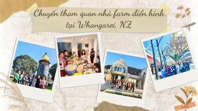 Thăm quan ngôi nhà farm điển hình của người New Zealand ở thành phố Wangarei