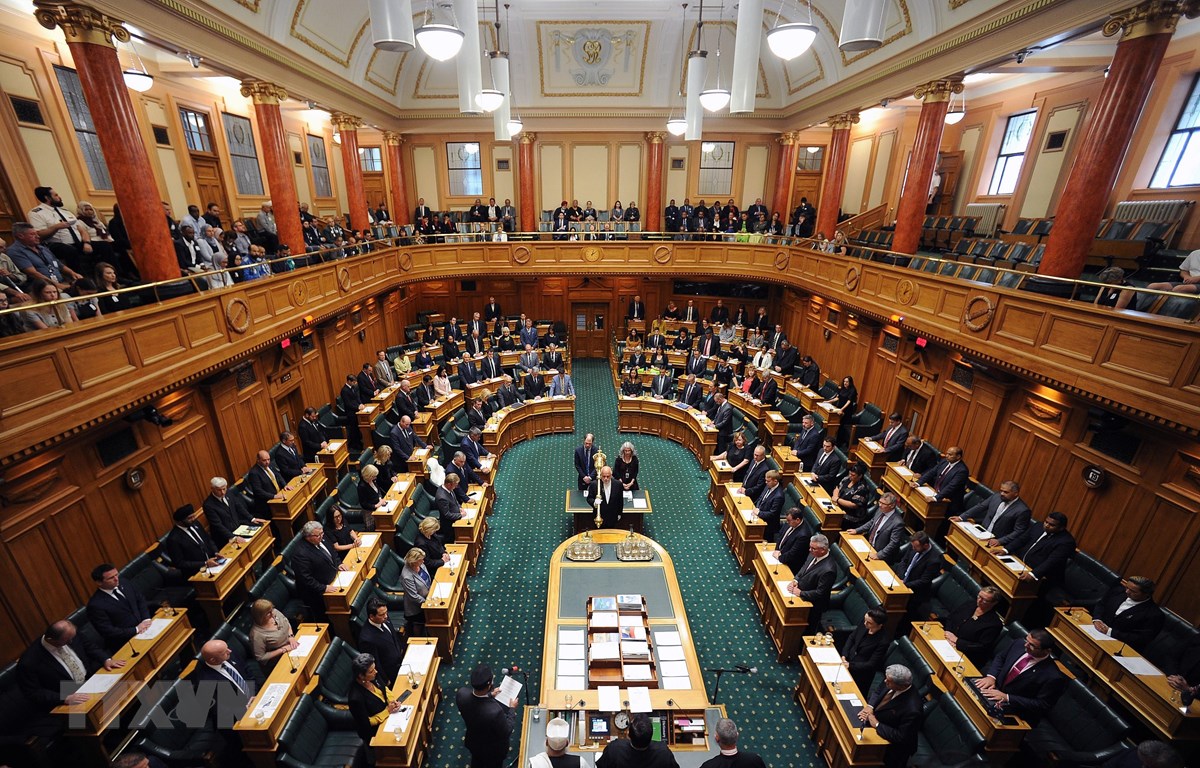 Quyền bầu cử New Zealand - những điều nhập cư nên biết 2023