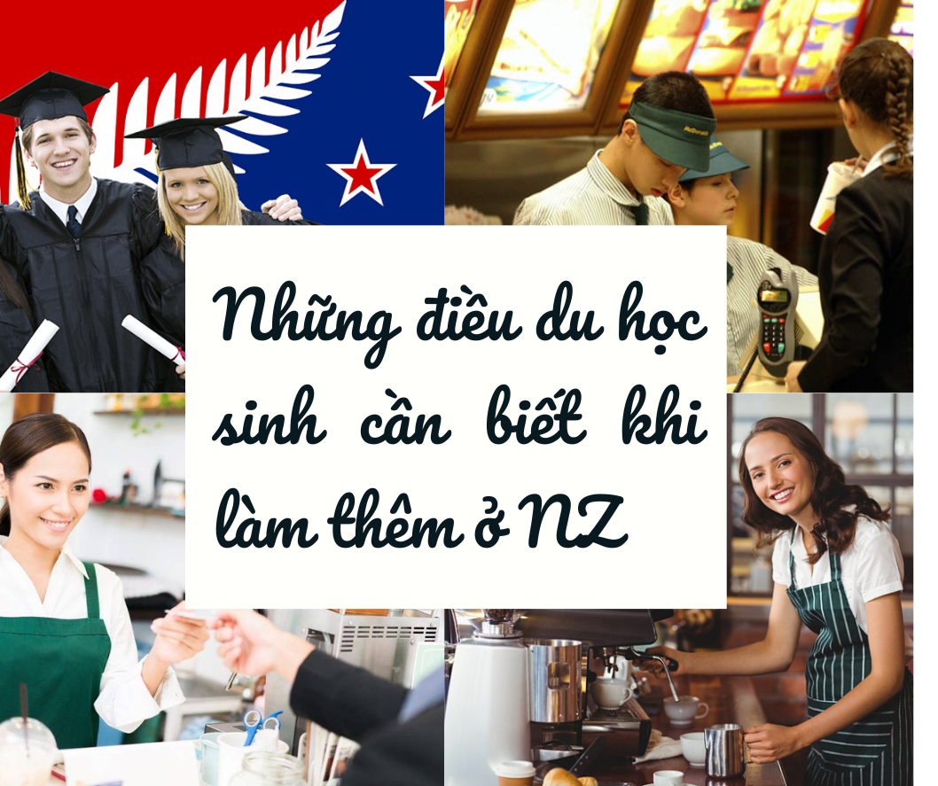 7 điều Du học sinh cần lưu ý trước khi đi làm thêm tại NZ 